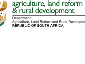 Department of Agriculture, Sports and Rural Development: Statistical Assistant