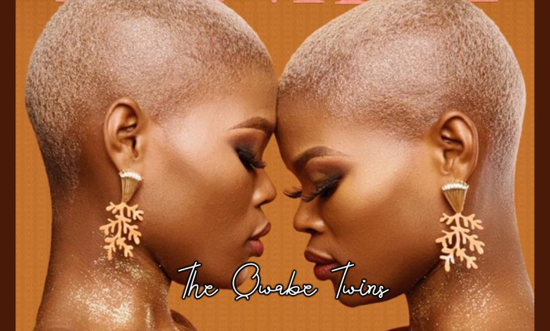 The Qwabe Twins: Breaking Barriers in the Music Industry