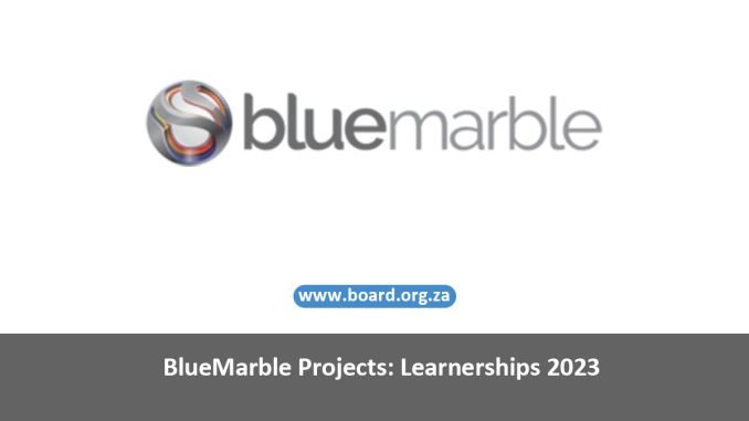 BlueMarble Projects: Learnerships 2023