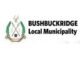 Bushbuckridge Local Municipality: Bursaries 2024