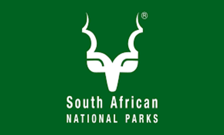 South African National Parks: Internships 2024