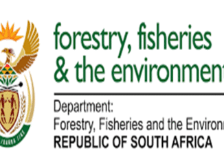 Department of Forestry Fisheries and Environment Internships 2024