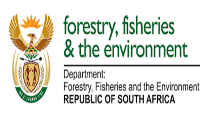 Department of Forestry Fisheries and Environment Internships 2024
