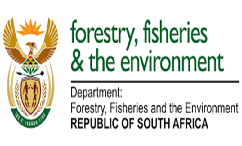 Department of Forestry Fisheries and Environment Internships 2024