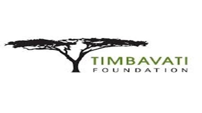 Timbavati Foundation YES Internships 2024