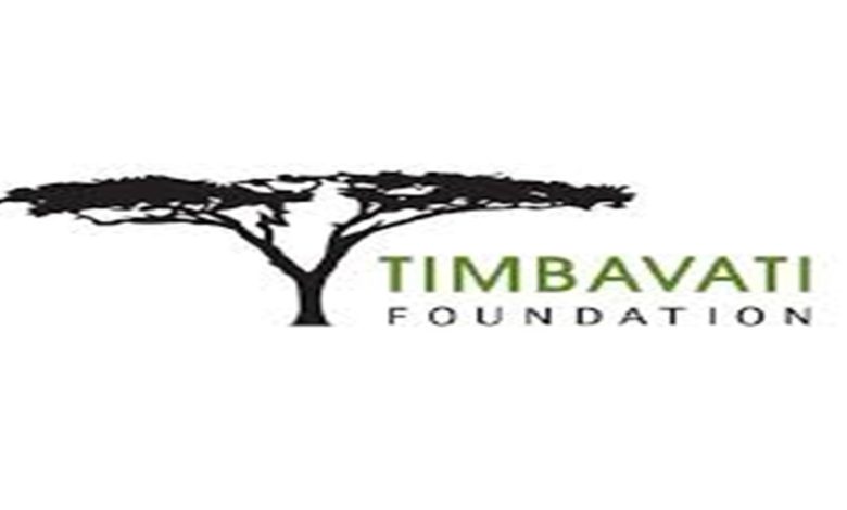 Timbavati Foundation YES Internships 2024