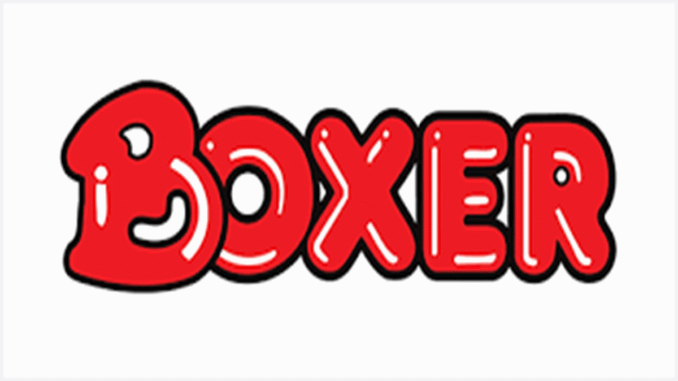 Boxer Superstores Graduates Internships 2025