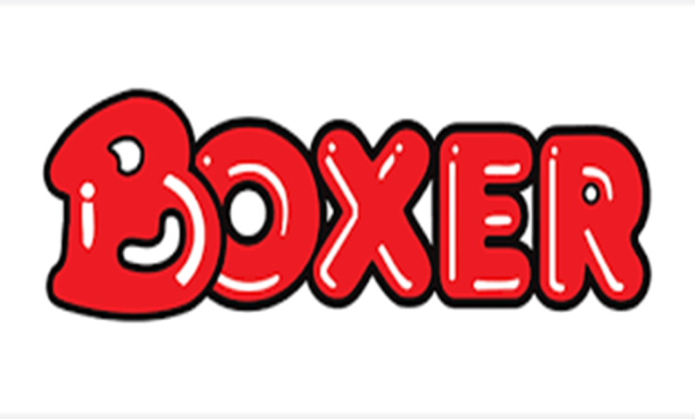 Boxer Superstores Graduates Internships 2025