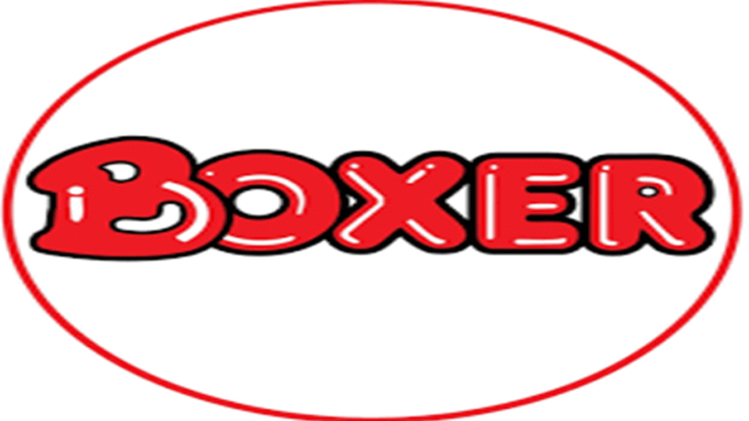 Boxer Superstores Graduates Internships
