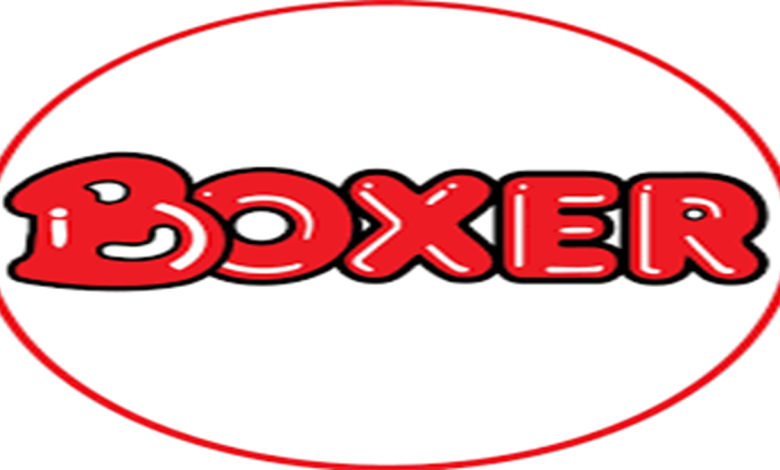 Boxer Superstores Graduates Internships