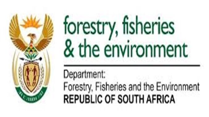 Department of Forestry Fisheries and the Environment Bursaries