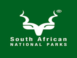 SA National Parks Internship Opportunity 2025