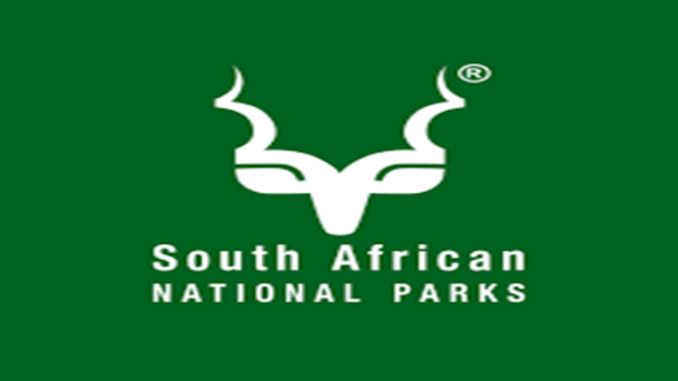 SA National Parks Internship Opportunity 2025