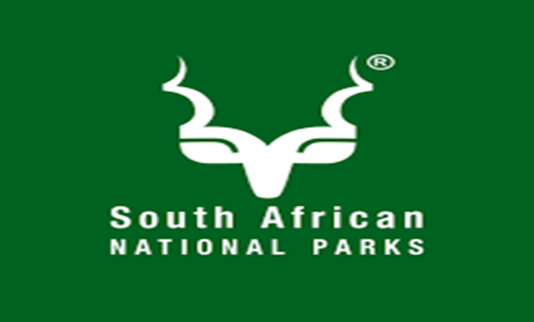 SA National Parks Internship Opportunity 2025