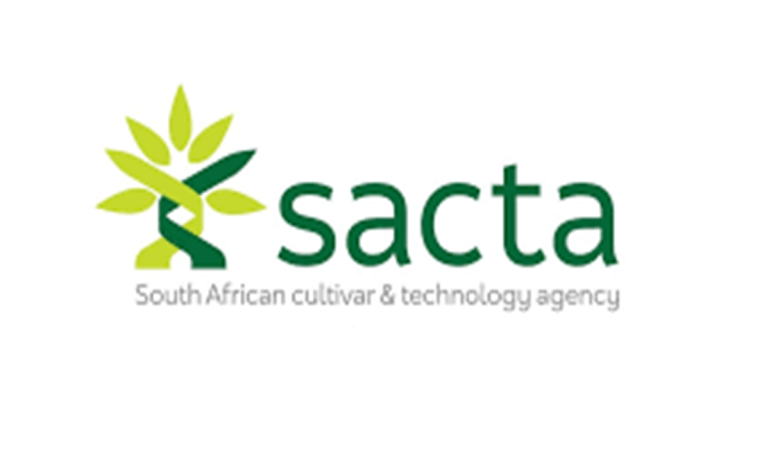 SACTA Bursaries 2025