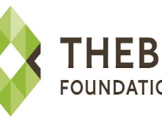 Thebe Foundation Bursaries 2025