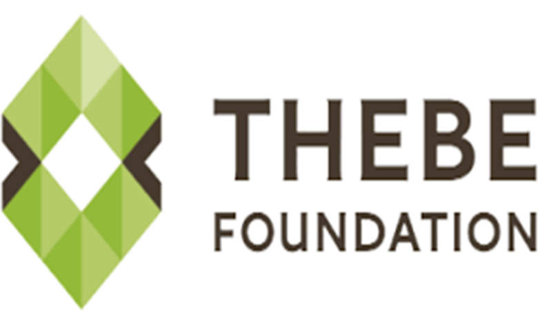 Thebe Foundation Bursaries 2025