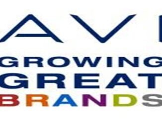 AVI Limited Team Leader Internships