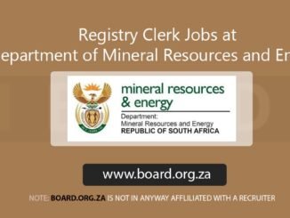 Registry Clerk Jobs at Department of Mineral Resources and Energy