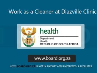 Work as a Cleaner at Diazville Clinic