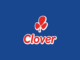 Clover YES Learnerships (Merchandiser) 2025