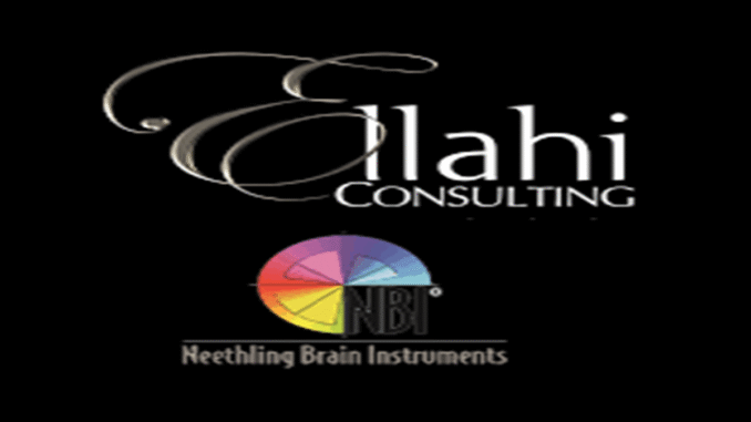 Ellahi Consulting Car Rental Agents 