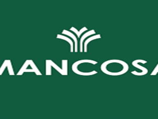 MANCOSA PTY LTD Merchandising Internships