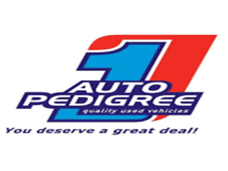 Auto Pedigree Learnerships Opportunities 2025