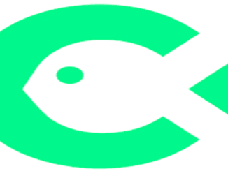 Catch Payroll Administrator Vacancies