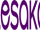 Lesaka Technologies Internships 2025 / 2026