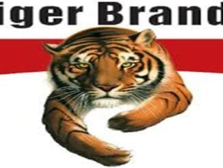 Tiger Brands Human Resources Graduates Internships 2026