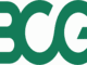 Boston Consulting Group Internships