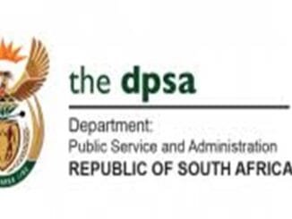 Department of Public Service and Administration Driver Vacancies