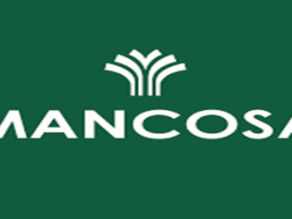 MANCOSA PTY LTD Graphic Designer intern