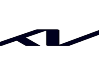 Pre - Owned Vehicle Sales Executive Kia South Africa
