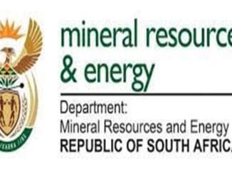 Department of Mineral and Petroleum Resources Investment Promotion Intern
