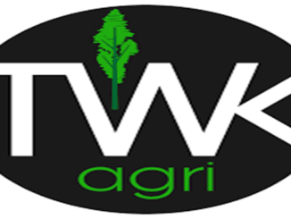 TWK Agri Trainee Grain Trader Vacancies